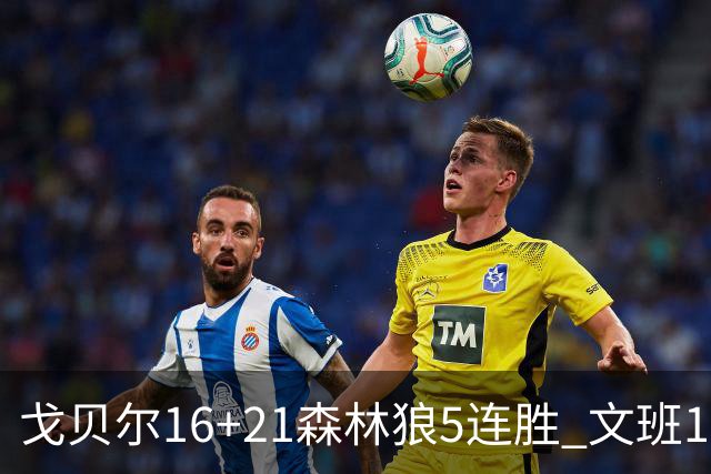 戈贝尔16+21森林狼5连胜 文班12+10马刺15连败